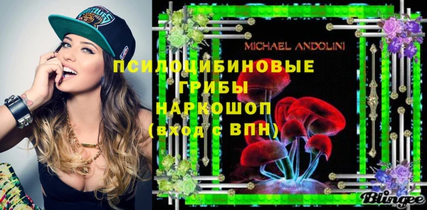 синтетический гашиш Алексин