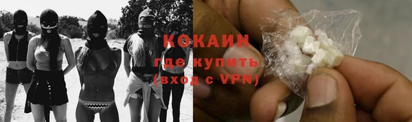 прущие грибы Алзамай