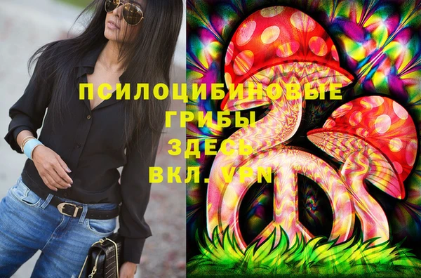 альфа пвп Няндома