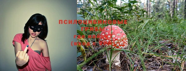 альфа пвп Няндома