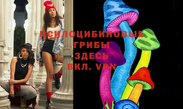 прущие грибы Алзамай