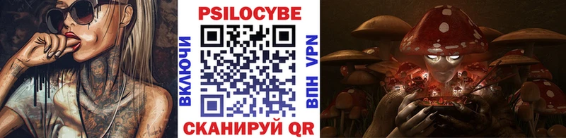 Псилоцибиновые грибы мухоморы МЕГА онион Пучеж